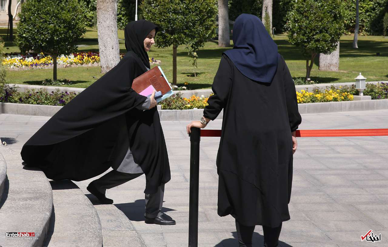 تصاویر روز : تصاویر روز :