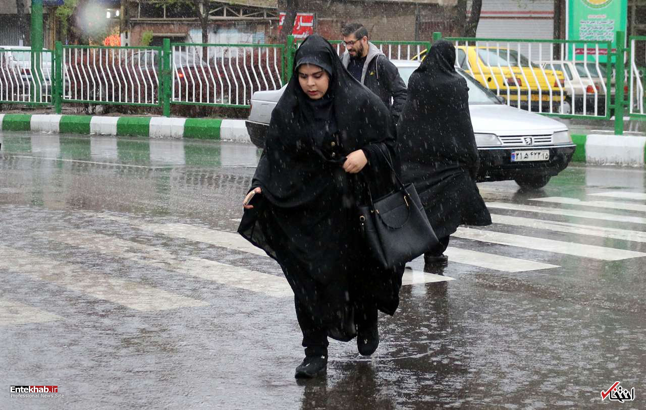 تصاویر روز : تصاویر روز :