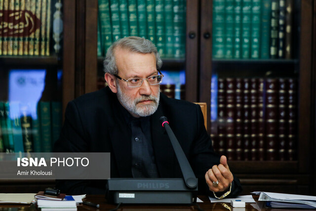 لاریجانی: بررسی خطای انسانی در سقوط هواپیمای اوکراینی در اولویت کار دستگاه&zwnj;ها قرار گیرد