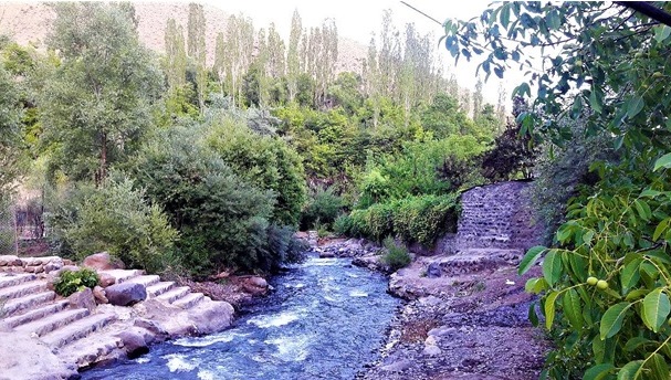 اجاره ویلا و اقامتگاههای ارزان در سایت بوکینگ ویلا با اطمینان بالا اجاره ویلا و اقامتگاههای ارزان در سایت بوکینگ ویلا با اطمینان بالا