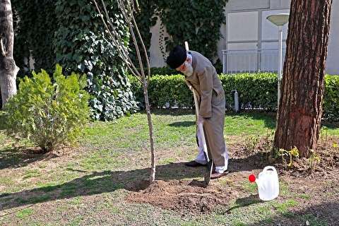 تصاویر: کاشت نهال توسط رهبر انقلاب همزمان با روز درختکاری
