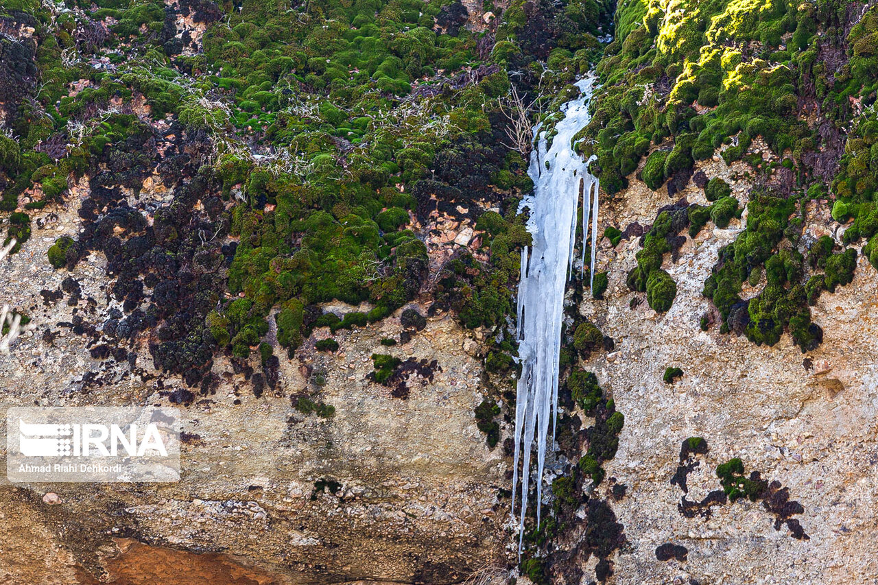 مخمل کوه لرستان