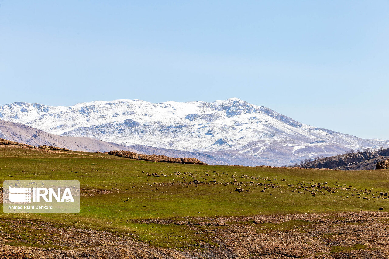 مخمل کوه لرستان