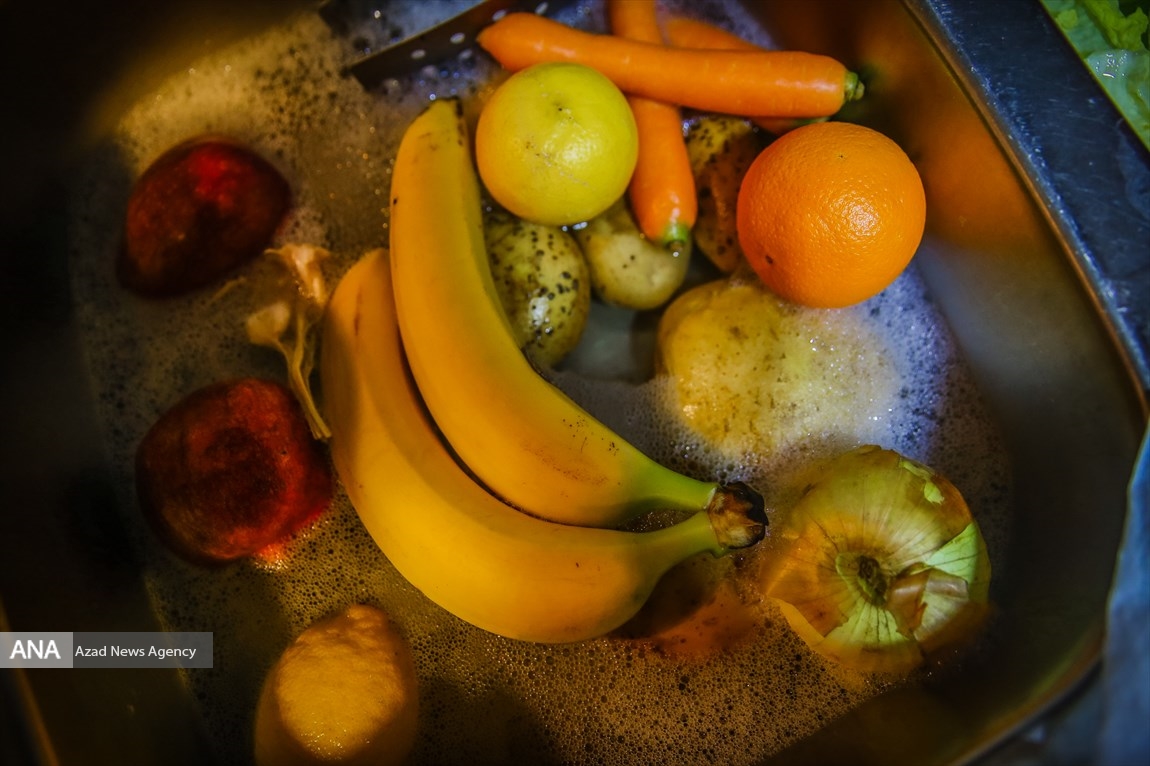 تصاویر: قرنطینه خانگی