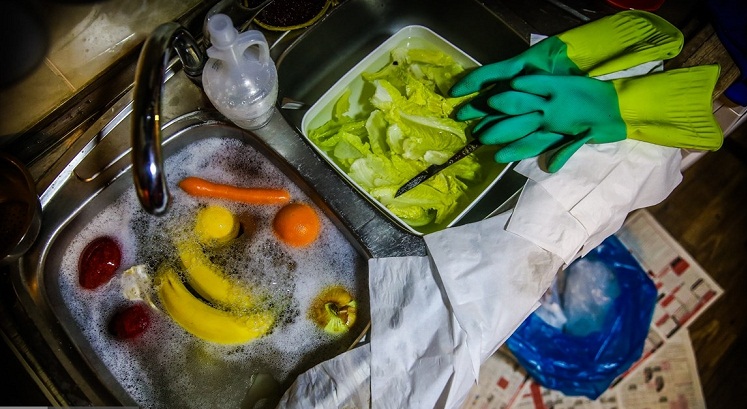 تصاویر: قرنطینه خانگی