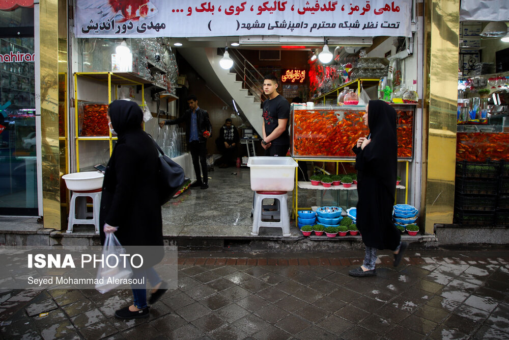 تصاویر: مشهد در شرایط &laquo;کرونایی&raquo;