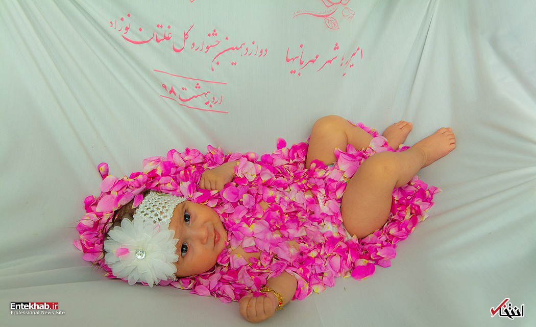 تصاویر روز : تصاویر روز :