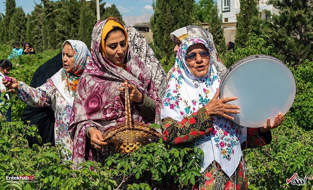تصاویر روز : تصاویر روز :