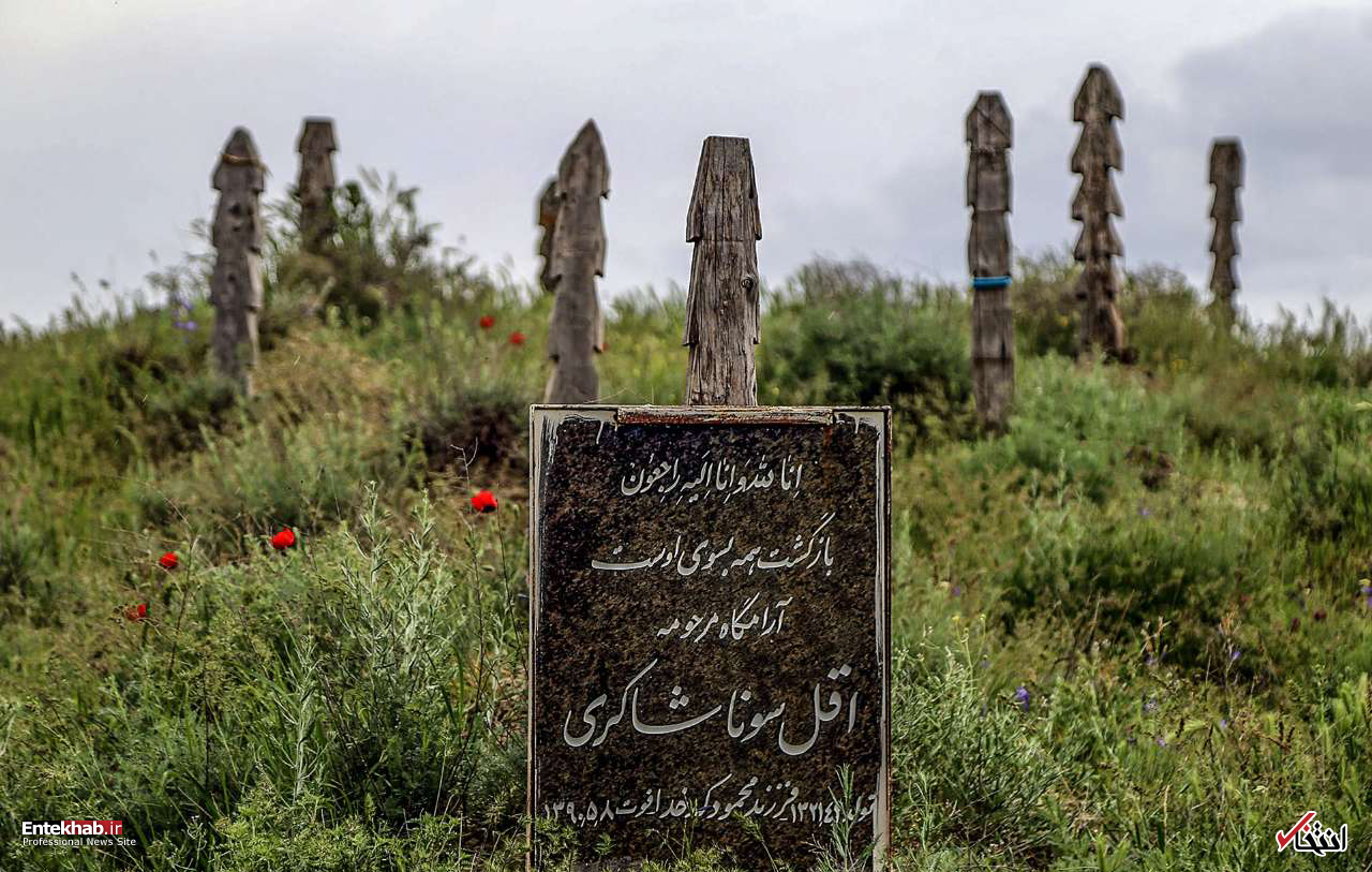 تصاویر روز : تصاویر روز :