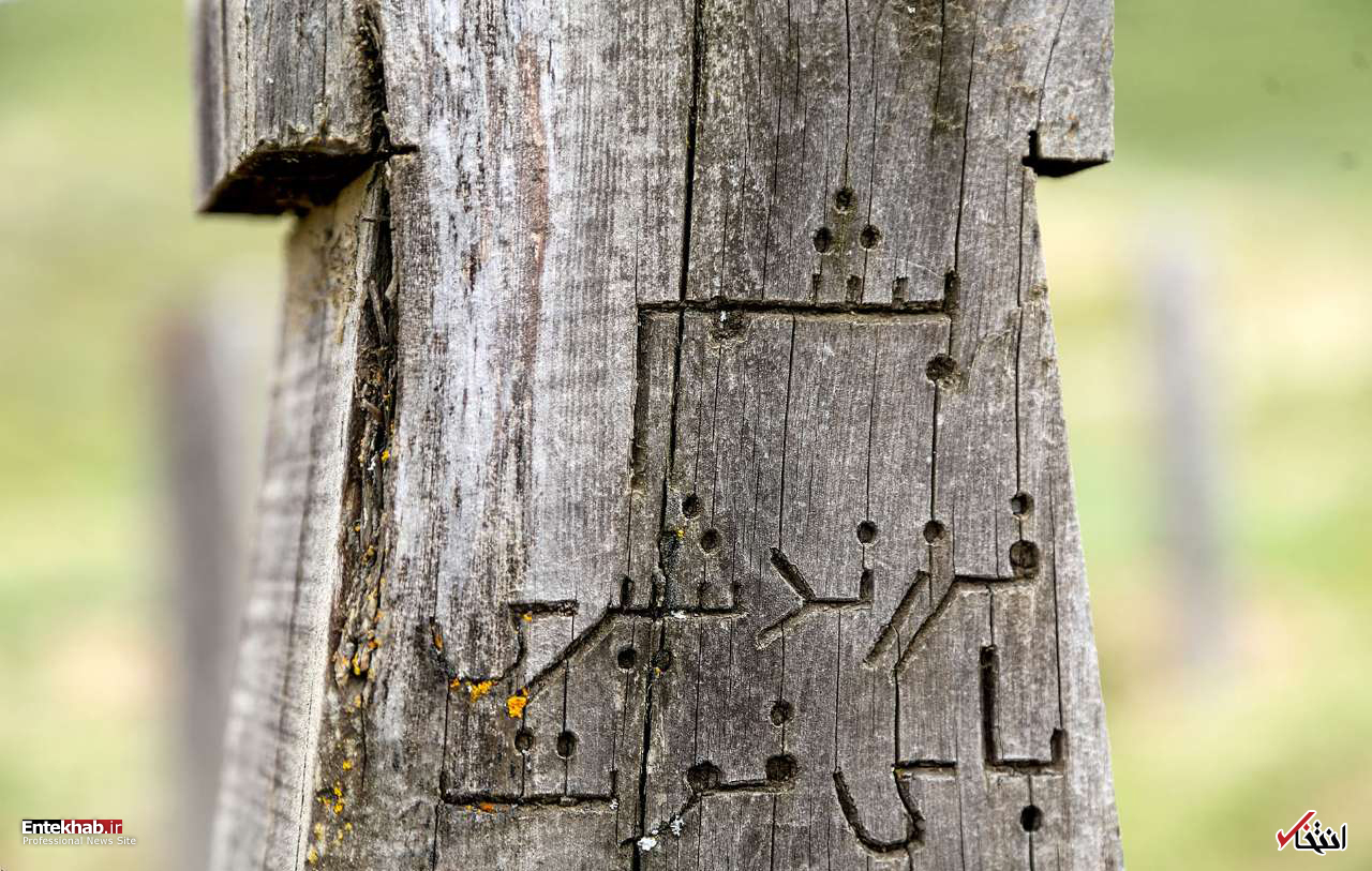 تصاویر روز : تصاویر روز :