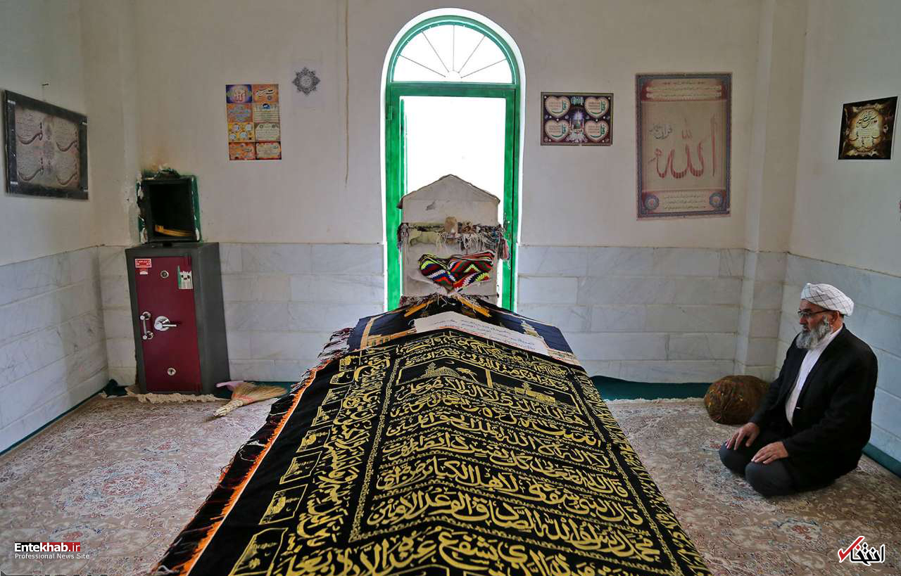 تصاویر روز : تصاویر روز :