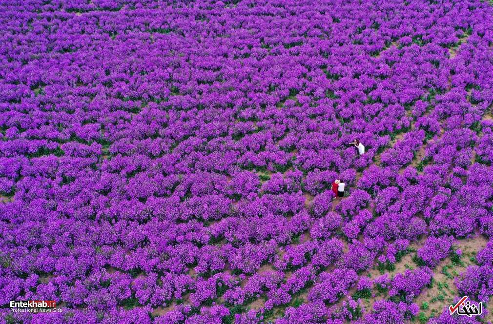 تصاویر : دیدنی&zwnj;های امروز پنج&zwnj;شنبه ۲۶ اردیبهشت ماه