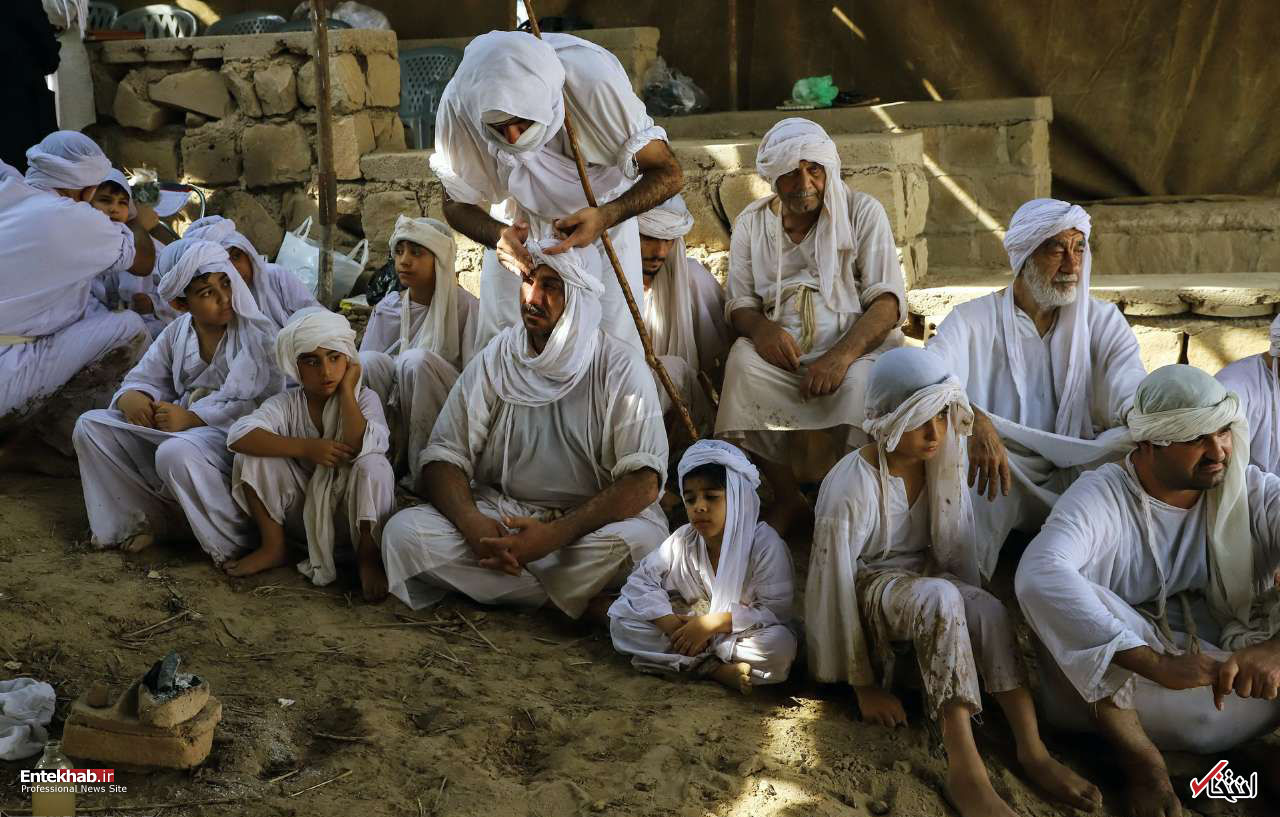 تصاویر روز : تصاویر روز :