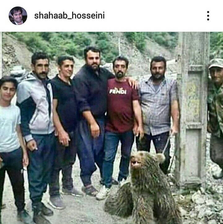 شهاب حسینی: نفرین بر شما و آنچه شما رو تبدیل به شیاطین کرد شهاب حسینی: نفرین بر شما و آنچه شما رو تبدیل به شیاطین کرد