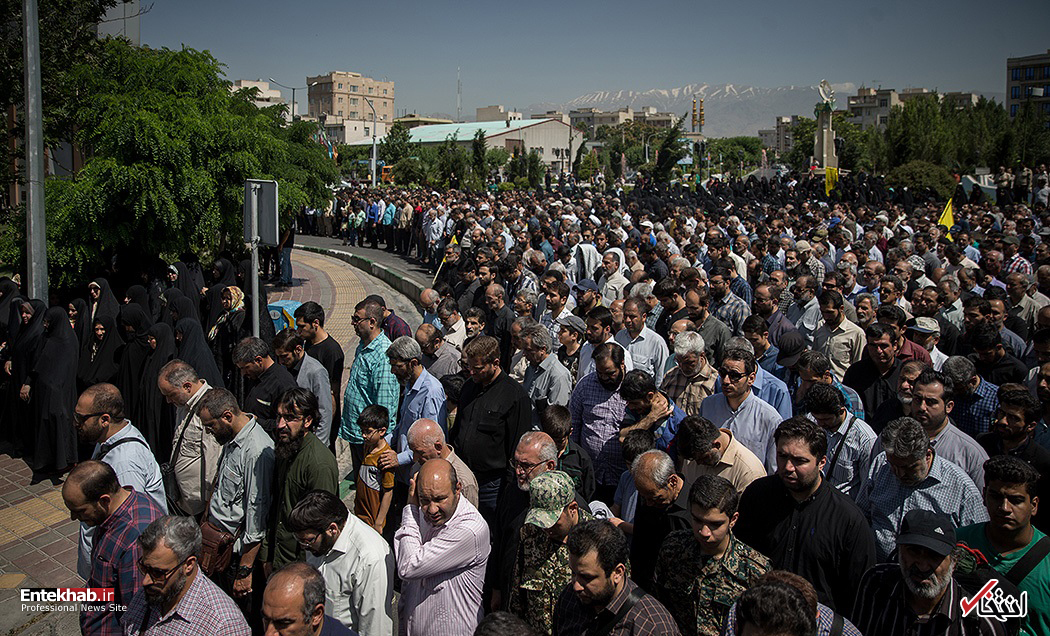 تصاویر :
