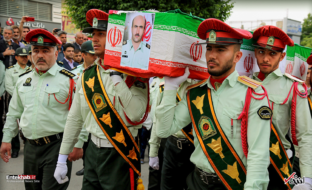 تصاویر روز : تصاویر روز :