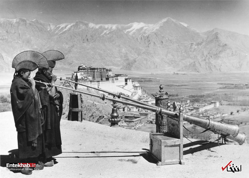 تصاویر