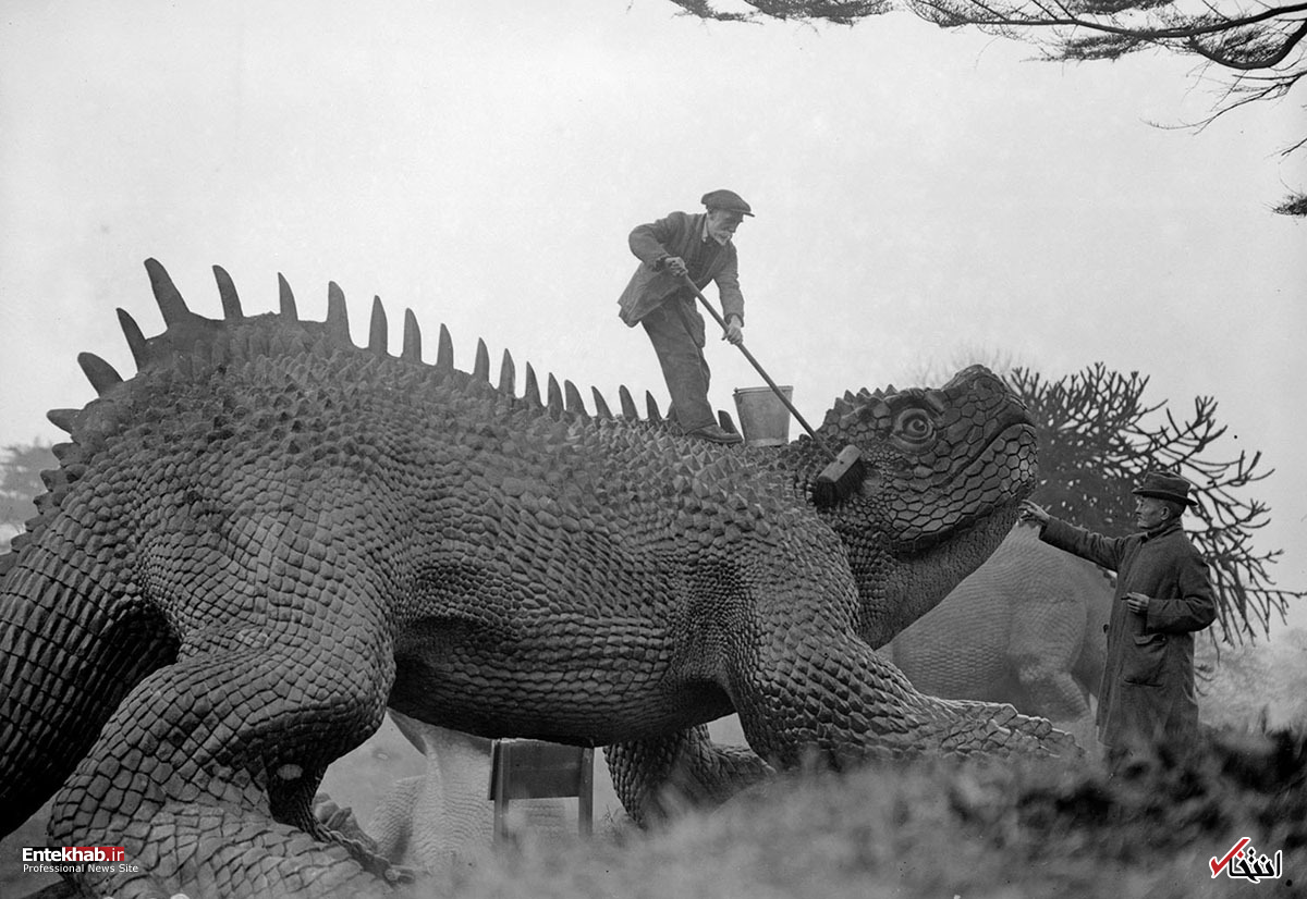 تصاویر سیاه و سفید