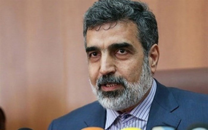 کمالوندی: اروپا فرصتی ندارد/ اقدامات هسته&zwnj;ای بی&zwnj;وقفه ادامه خواهد یافت