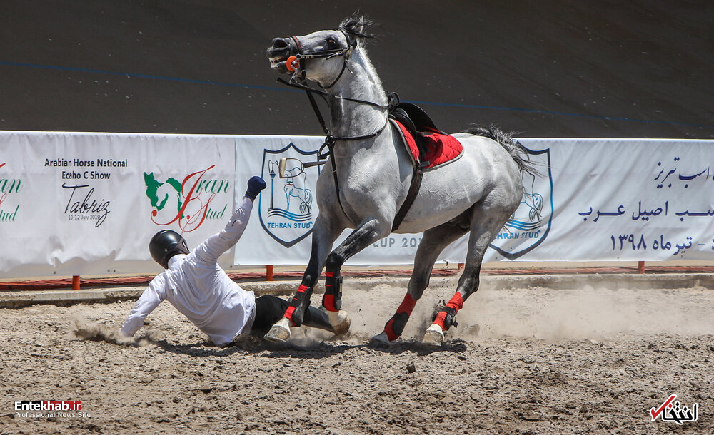 تصاویر روز :