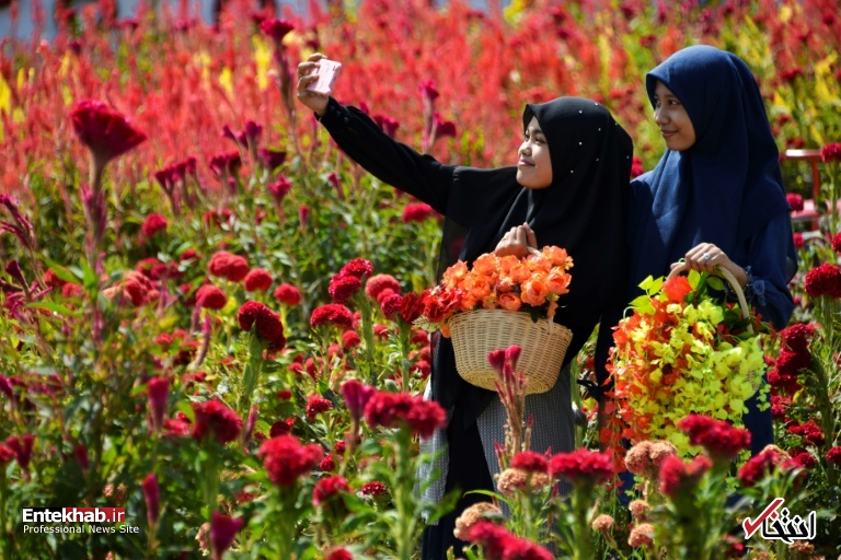 تصاویر : دیدنی&zwnj;های امروز یکشنبه ۲۳ تیرماه