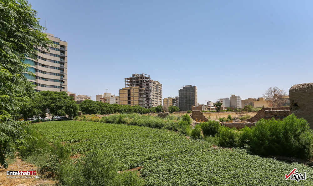 تصاویر روز :