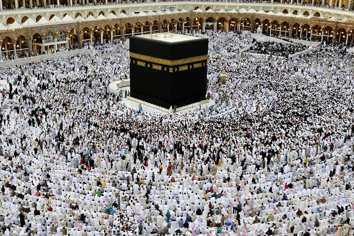 سرپرست حجاج: رفتار ماموران عربستان با زائران ایرانی مطلوب است