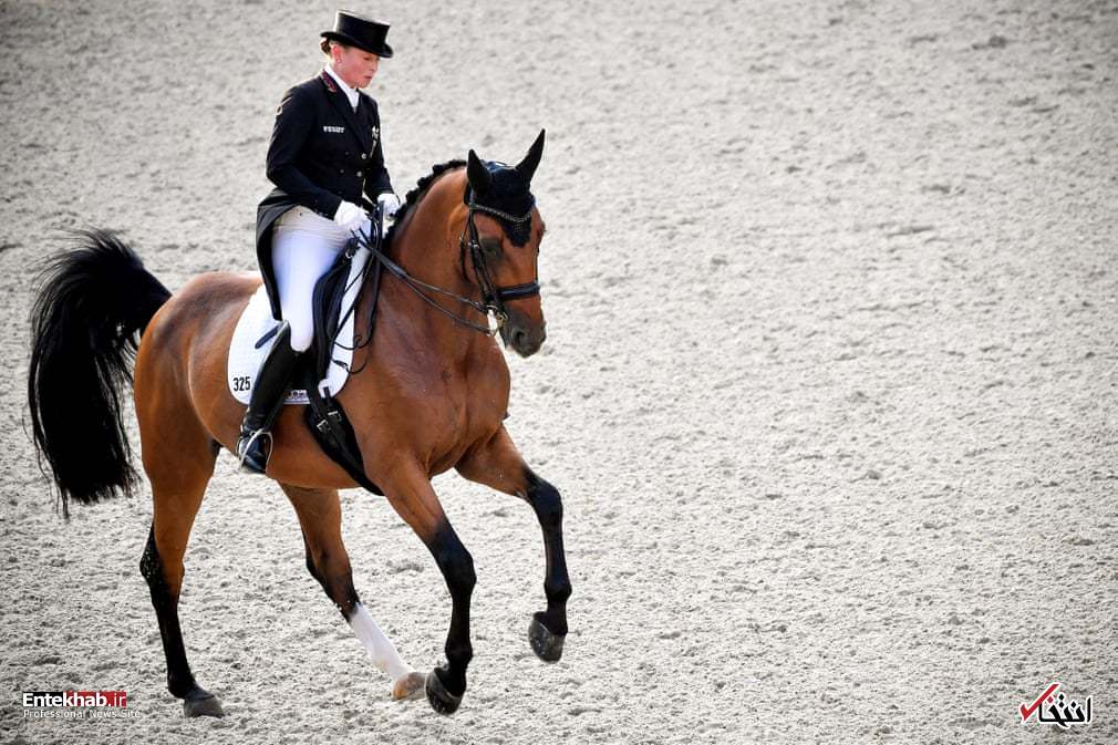 تصاویر : دیدنی&zwnj;های امروز پنج&zwnj;شنبه ۲۷ تیرماه