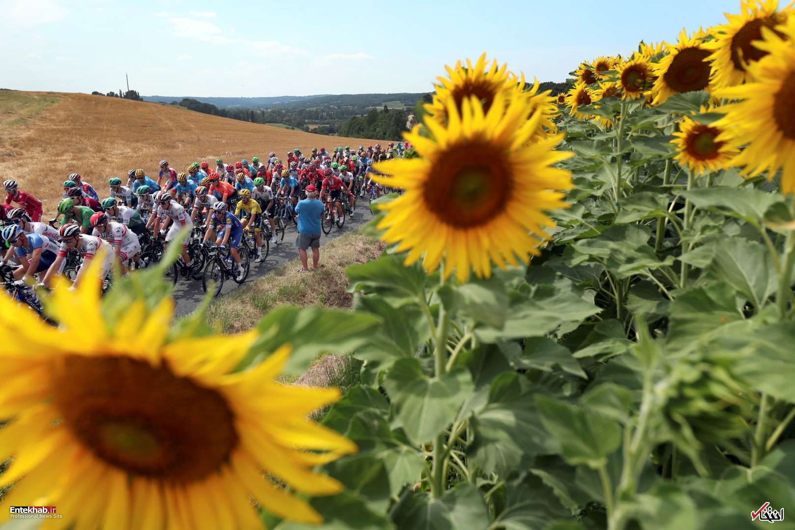 تصاویر : دیدنی&zwnj;های امروز پنج&zwnj;شنبه ۲۷ تیرماه