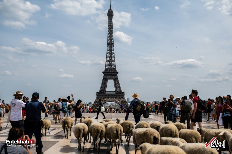 تصاویر : دیدنی&zwnj;های امروز پنج&zwnj;شنبه ۲۷ تیرماه