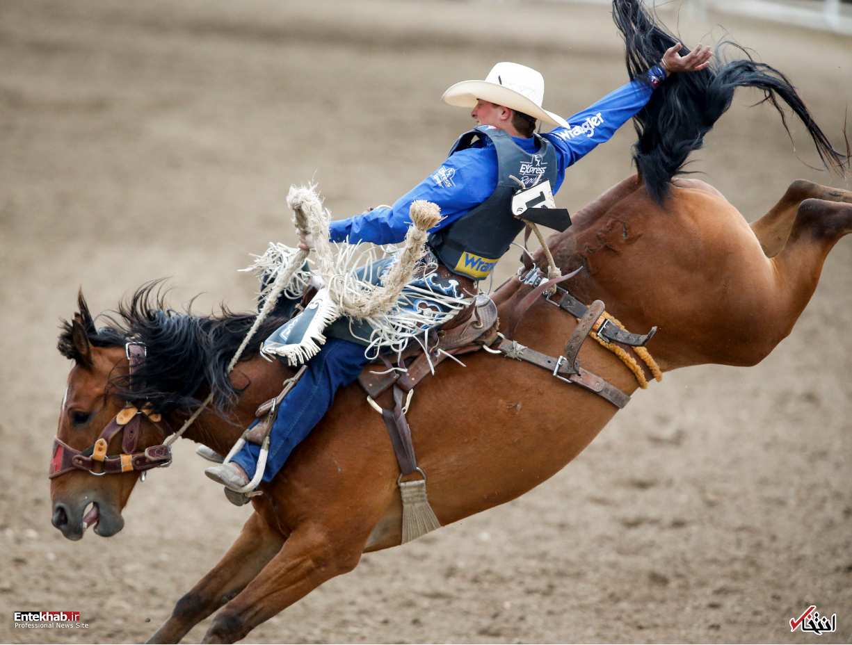 تصاویر : دیدنی&zwnj;های امروز پنج&zwnj;شنبه ۲۷ تیرماه