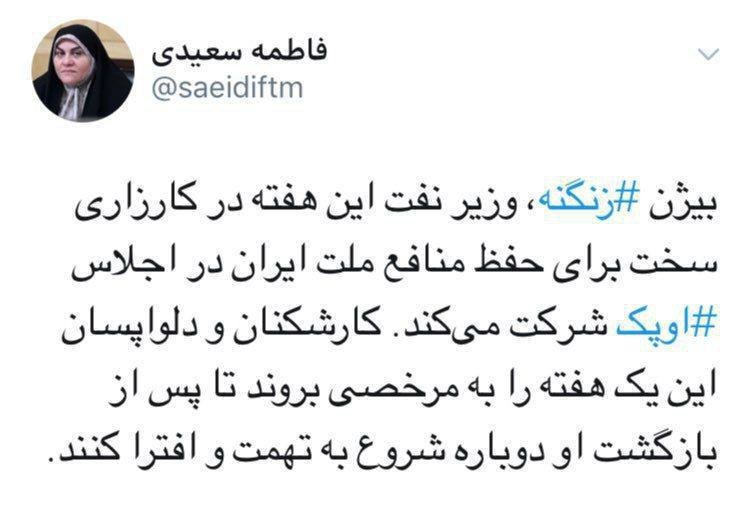 درخواست کنایه&zwnj;ای یک اصلاح&zwnj;طلب از دلواپسان نفتی: لطفا یک هفته به مرخصی بروید، زنگنه در اوپک کار سختی دارد