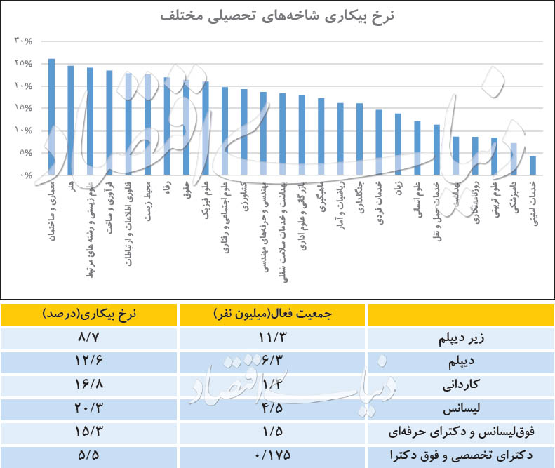 نرخ بیکاری مقاطع مختلف تحصیلی اعلام شد/ مدرک پرطرفدار بازار کار کدام است؟ نرخ بیکاری مقاطع مختلف تحصیلی اعلام شد/ مدرک پرطرفدار بازار کار کدام است؟