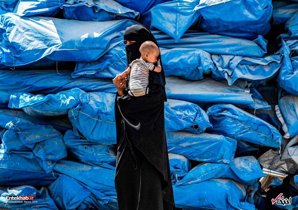 تصاویر : دیدنی&zwnj;های امروز سه شنبه ۱ مردادماه