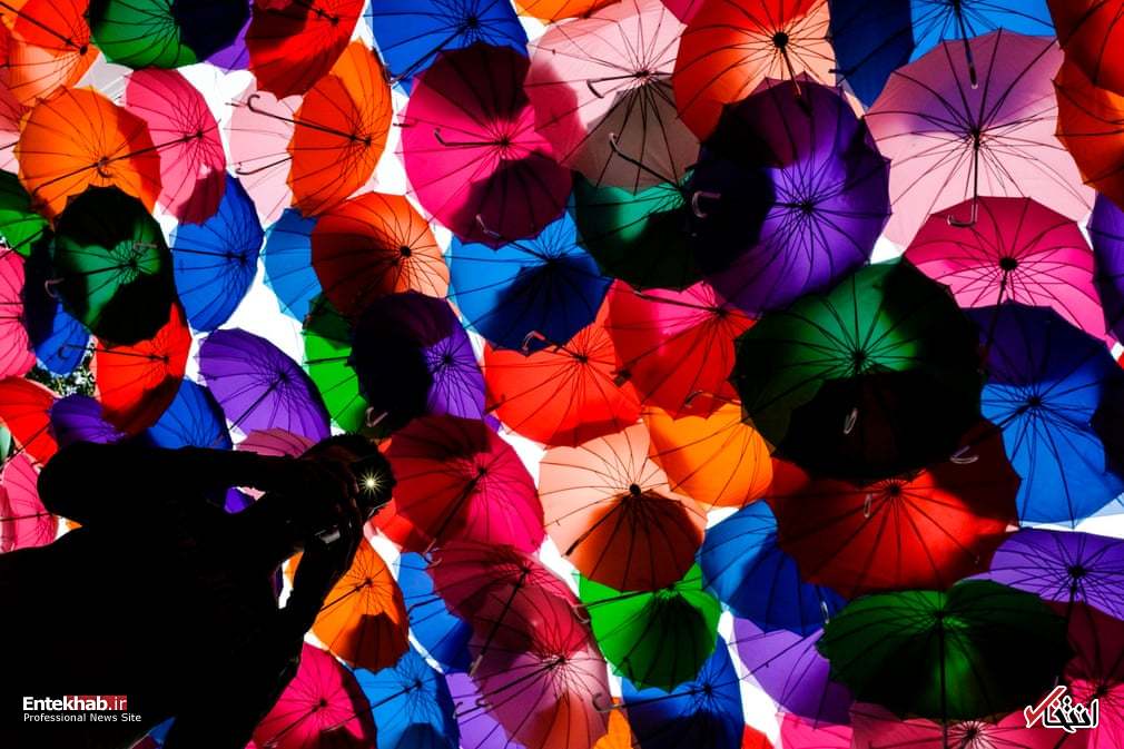 تصاویر : دیدنی&zwnj;های امروز سه شنبه ۱ مردادماه