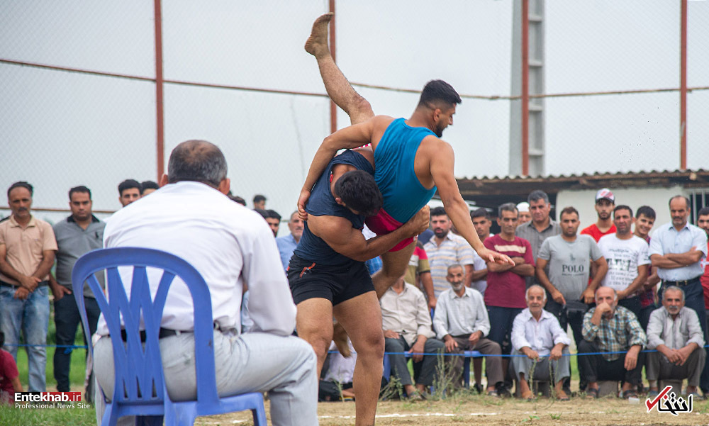 تصاویر روز : تصاویر روز :