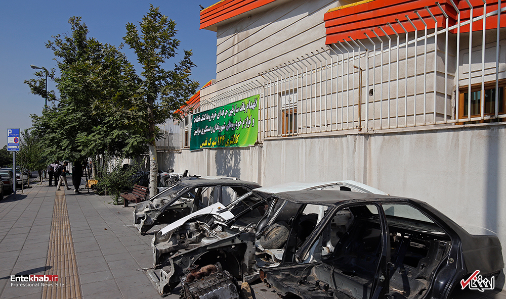 تصاویر روز : تصاویر روز :