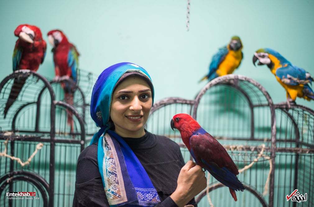 تصاویر : دیدنی&zwnj;های امروز چهارشنبه ۲۳ مردادماه