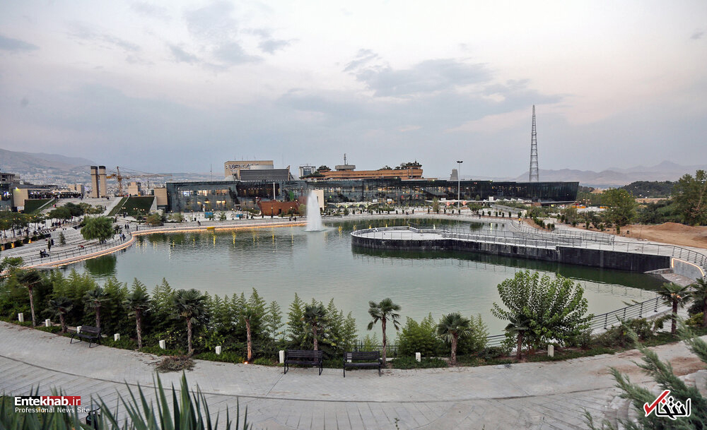 تصاویر روز : تصاویر روز :
