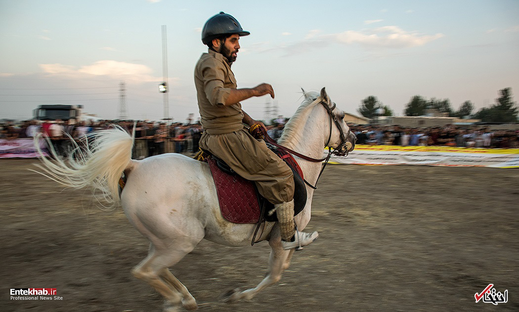 تصاویر روز : تصاویر روز :