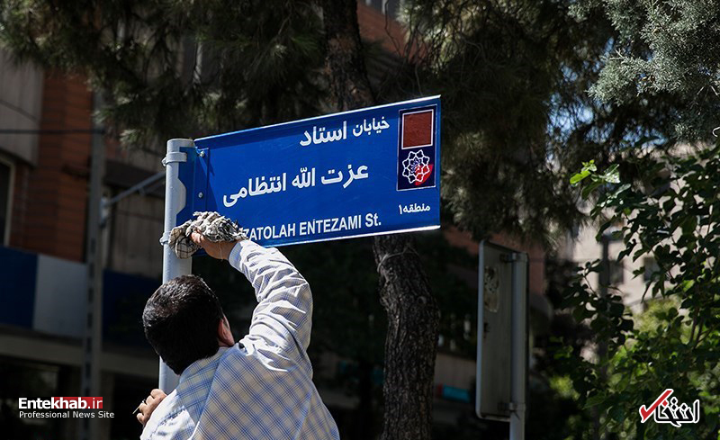 تصاویر روز : تصاویر روز :