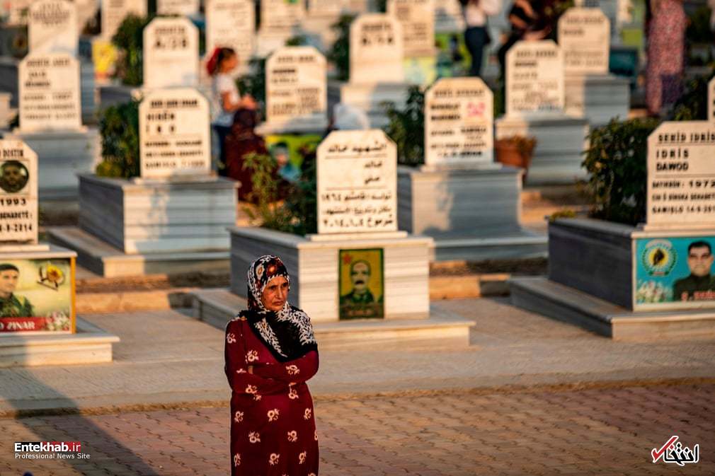 تصاویر : دیدنی&zwnj;های امروز پنج&zwnj;شنبه ۳۱ مردادماه