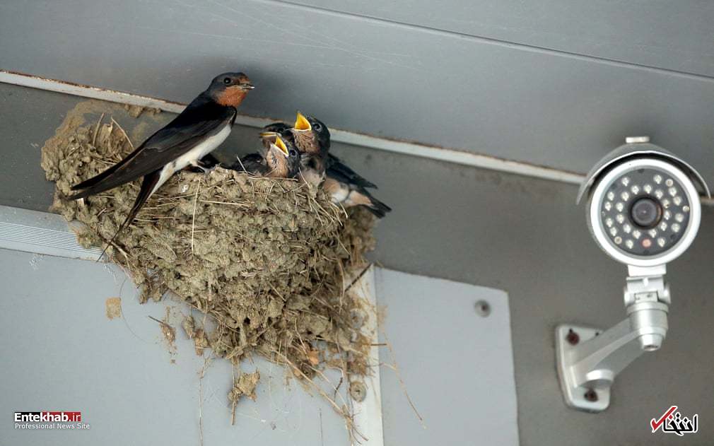 تصاویر : دیدنی&zwnj;های امروز شنبه ۱۶ شهریورماه