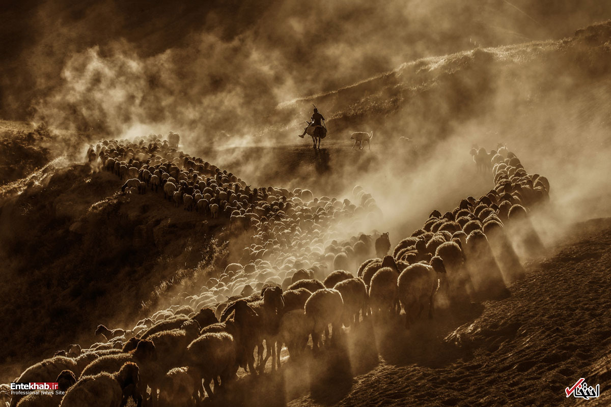 تصاویر : دیدنی&zwnj;های امروز شنبه ۱۶ شهریورماه