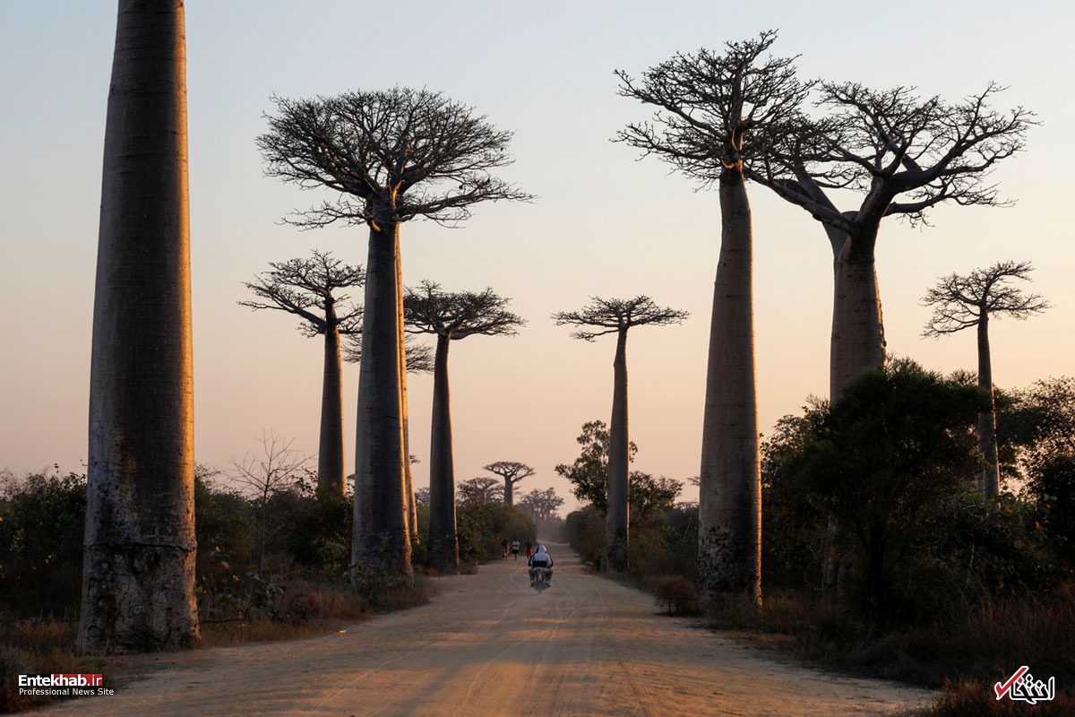 تصاویر : دیدنی&zwnj;های امروز شنبه ۱۶ شهریورماه