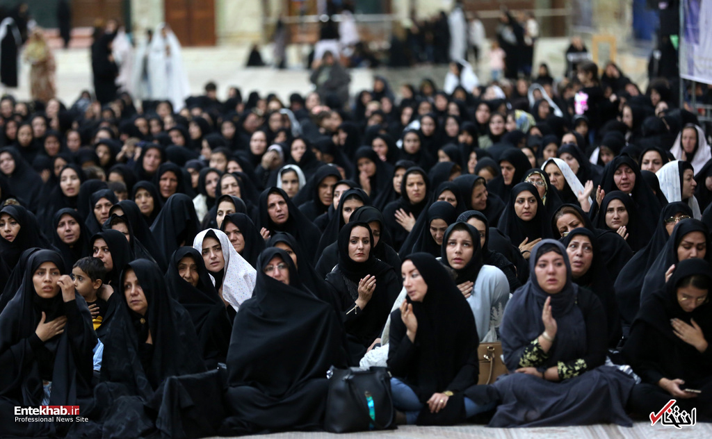 تصاویر روز : تصاویر روز :