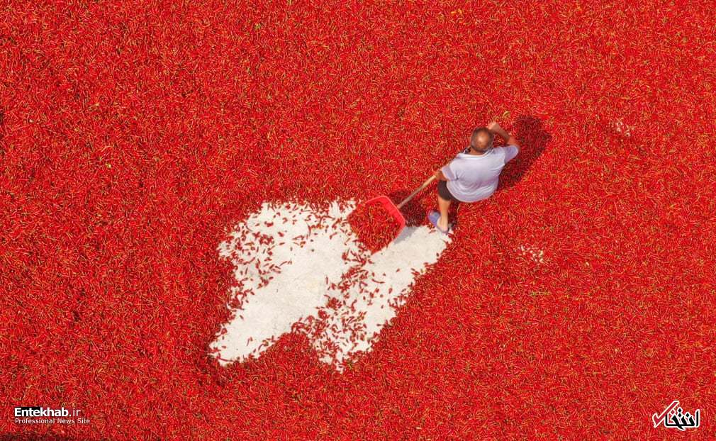تصاویر : دیدنی&zwnj;های امروز شنبه ۲ شهریورماه