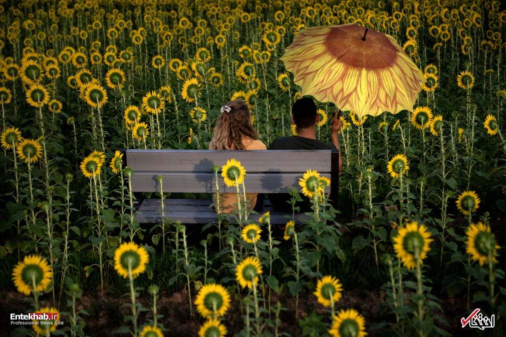 تصاویر : دیدنی&zwnj;های امروز شنبه ۲ شهریورماه