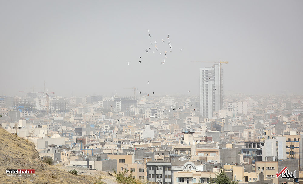 تصاویر روز : تصاویر روز :