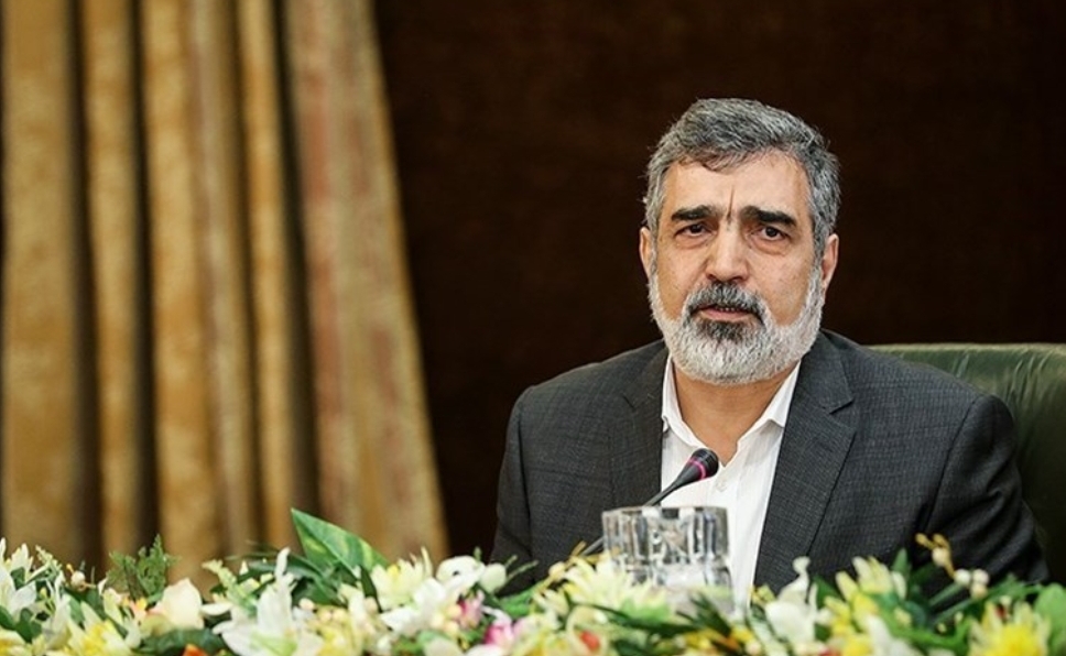 کمالوندی: انتقال مواد هسته&zwnj;ای به فردو از فردا آغاز می&zwnj;شود